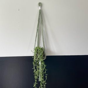 Sage and white macrame plant hanger